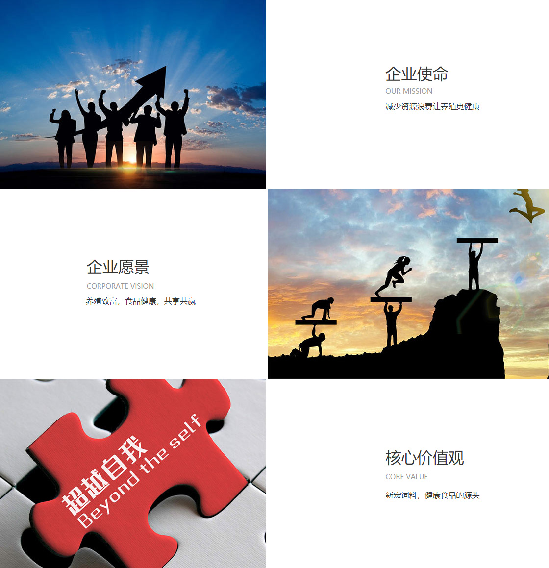 九游会登陆(图1)